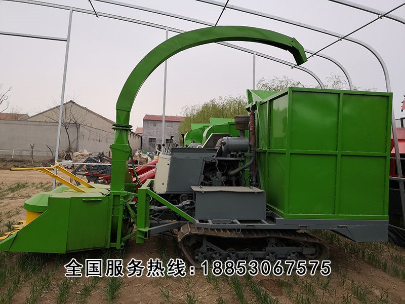 履帶式圓盤青儲機(jī)